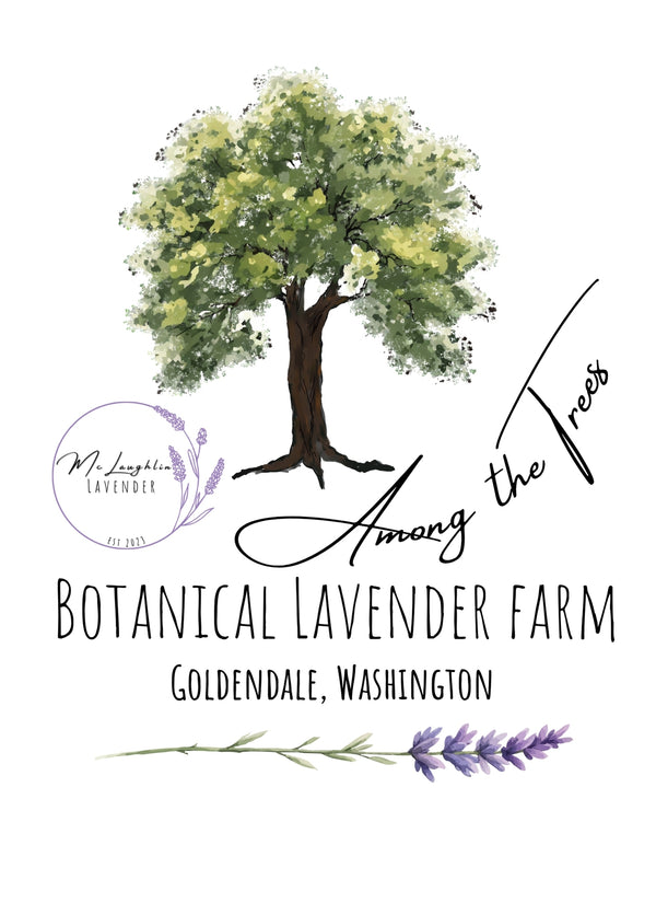 McLaughlin Lavender and the Little Lavender Farm Stand